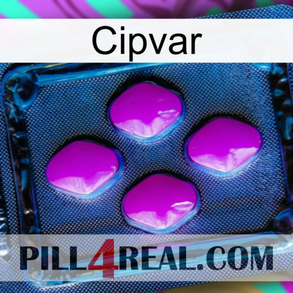 Cipvar 04.jpg